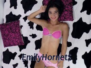 EmilyHornetS