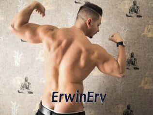 ErwinErv