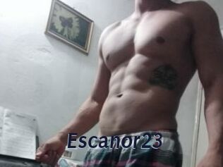 Escanor23