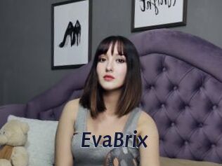 EvaBrix