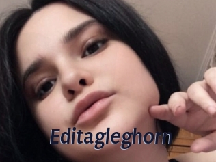 Editagleghorn