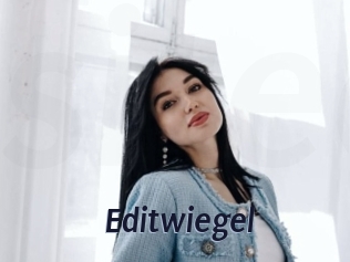 Editwiegel