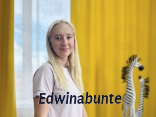 Edwinabunte