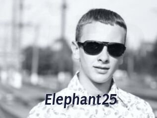 Elephant25