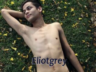 Eliotgrey