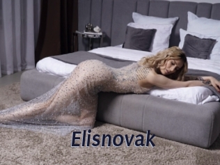 Elisnovak