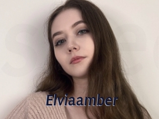 Elviaamber