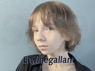 Elwinegallant