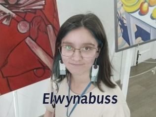 Elwynabuss