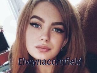 Elwynacornfield