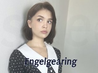Engelgearing