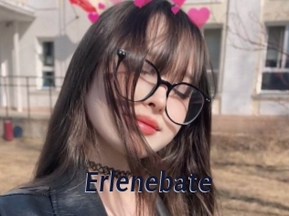 Erlenebate