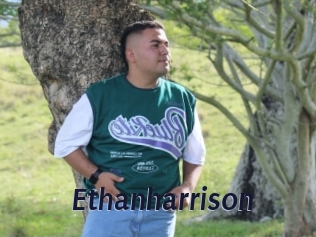 Ethanharrison