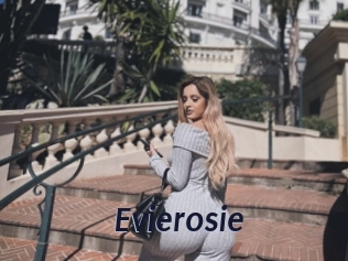 Evierosie