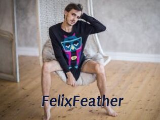 FelixFeather