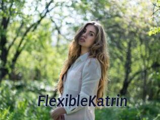 FlexibleKatrin
