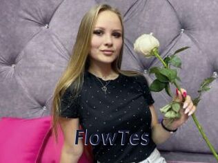FlowTes
