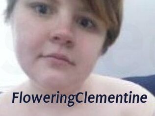 FloweringClementine