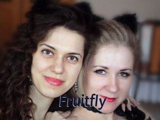 Fruitfly