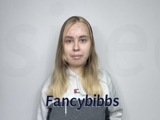 Fancybibbs