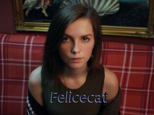Felicecat