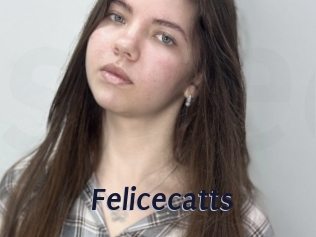 Felicecatts