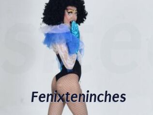 Fenixteninches