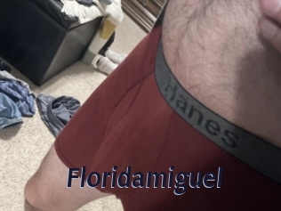 floridamiguel Site Cul