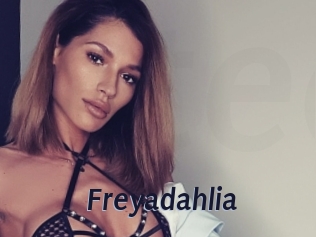 Freyadahlia