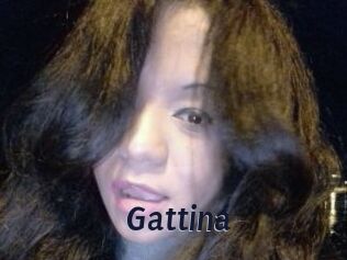 Gattina