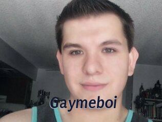 Gaymeboi