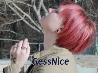 GessNice