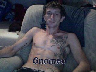 Gnomeo