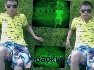 Gaokui