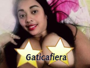 Gaticafiera
