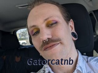 Gatorcatnb