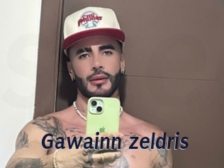 gawainn_zeldris Site Cul