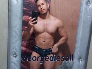 georgediesell Site Cul