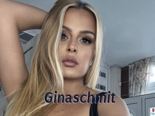Ginaschmit