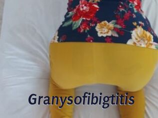 Granysofibigtitis
