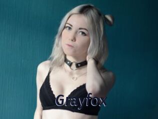 Grayfox