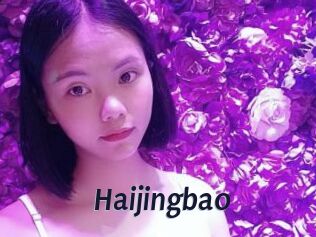 Haijingbao
