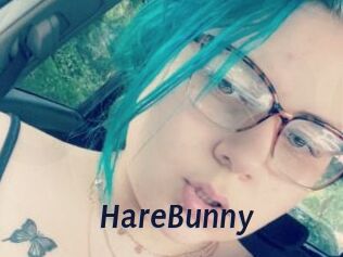 HareBunny