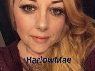 HarlowMae