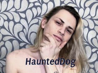 HauntedDog