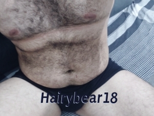 Hairybear18