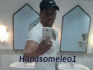 Handsomeleo1