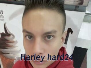 Harley_hard24