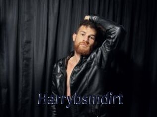 Harrybsmdirt