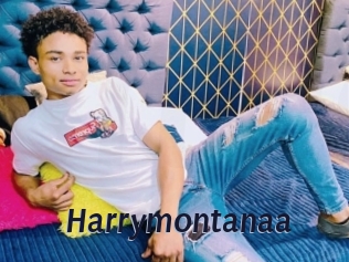 Harrymontanaa